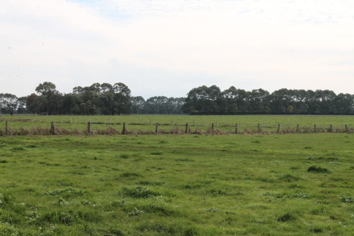 280 Crabbes Road, Irrewillipe, VIC, Irrewillipe - Thumbnail 6