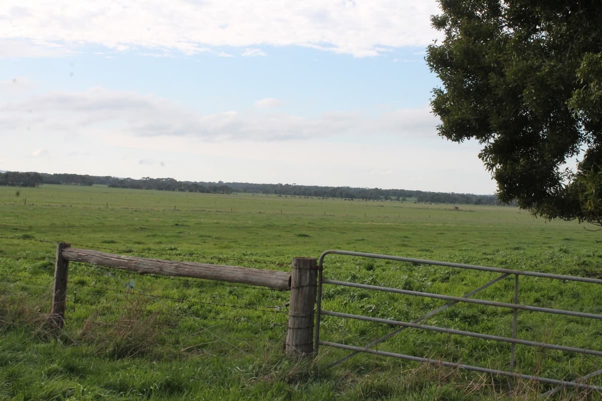 280 Crabbes Road, Irrewillipe, VIC, Irrewillipe - Thumbnail 7