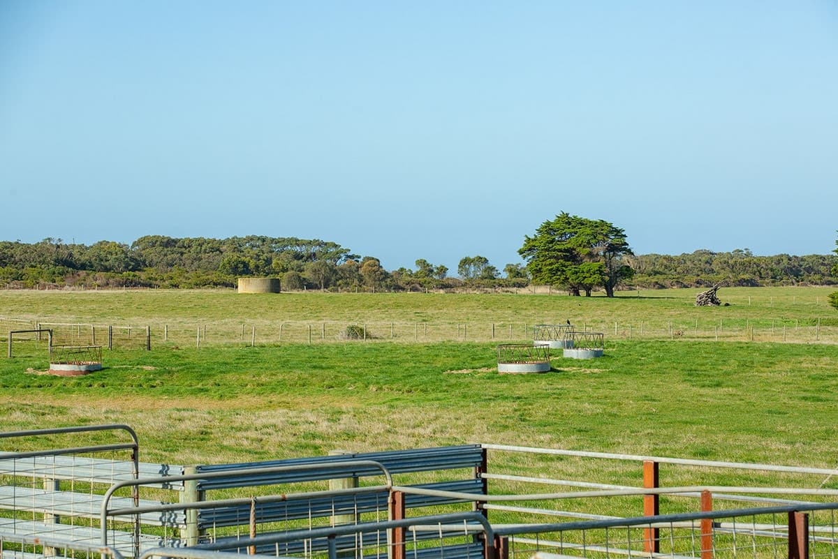 Currells Road, Port Campbell, VIC, Port Campbell - Thumbnail 8