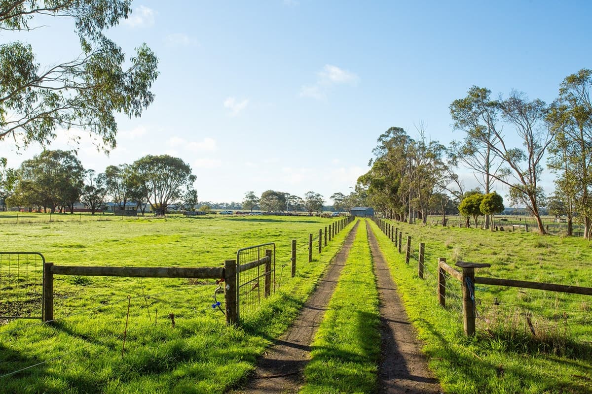 45 Triggs Road, Bungador, VIC, Bungador - Image 1