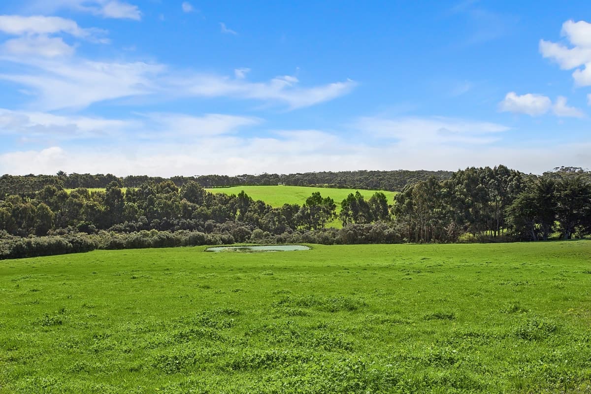Curdievale-Pt Campbell Road, Heytesbury Lower, VIC, Heytesbury Lower - Thumbnail 3
