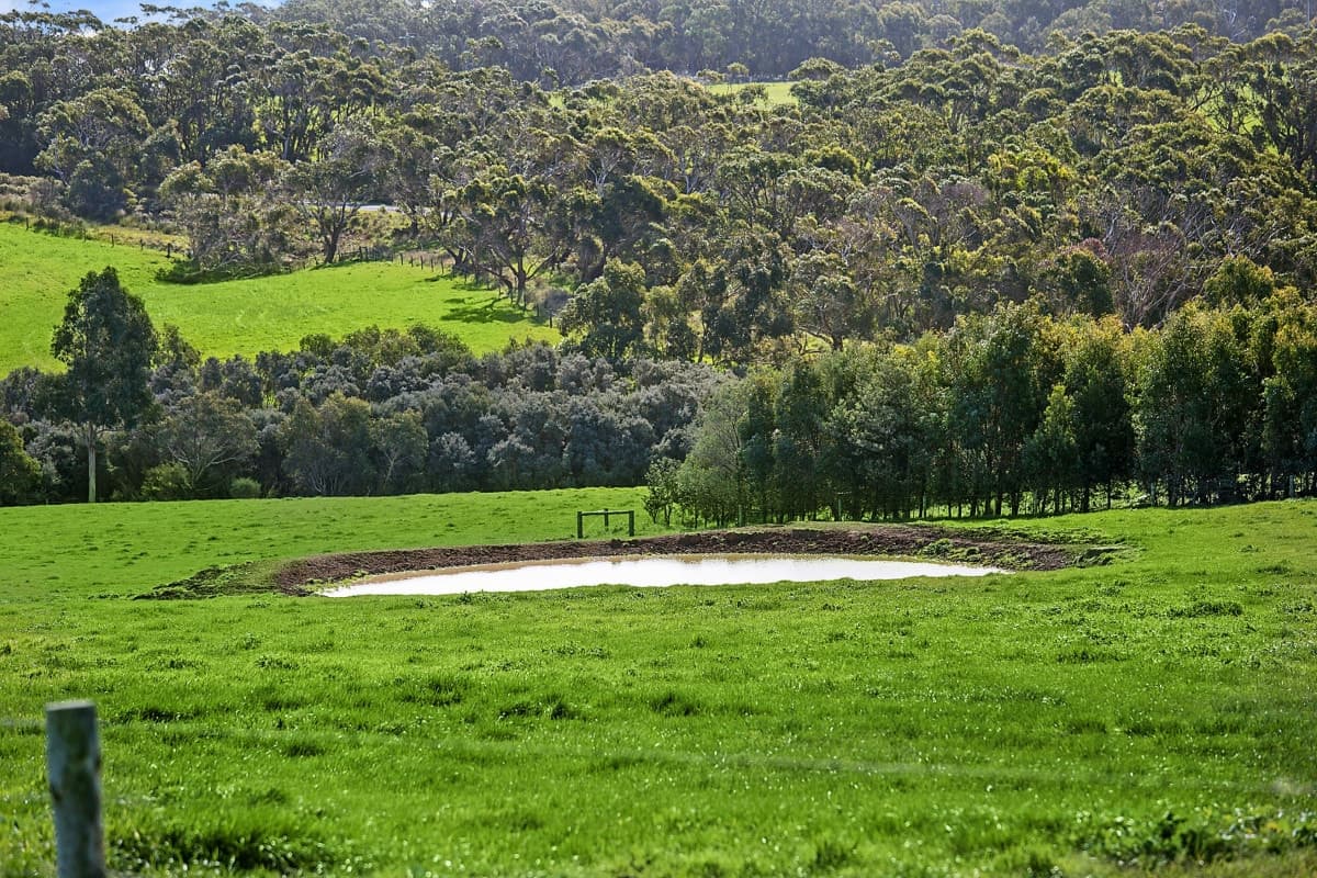 Curdievale-Pt Campbell Road, Heytesbury Lower, VIC, Heytesbury Lower - Thumbnail 4