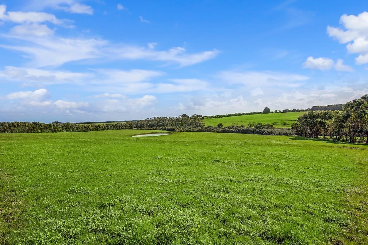 Curdievale-Pt Campbell Road, Heytesbury Lower, VIC, Heytesbury Lower - Thumbnail 5