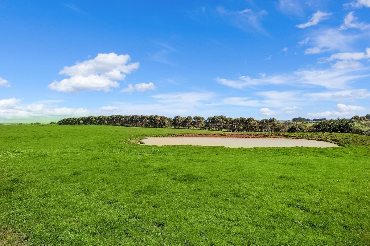 Curdievale-Pt Campbell Road, Heytesbury Lower, VIC, Heytesbury Lower - Thumbnail 6