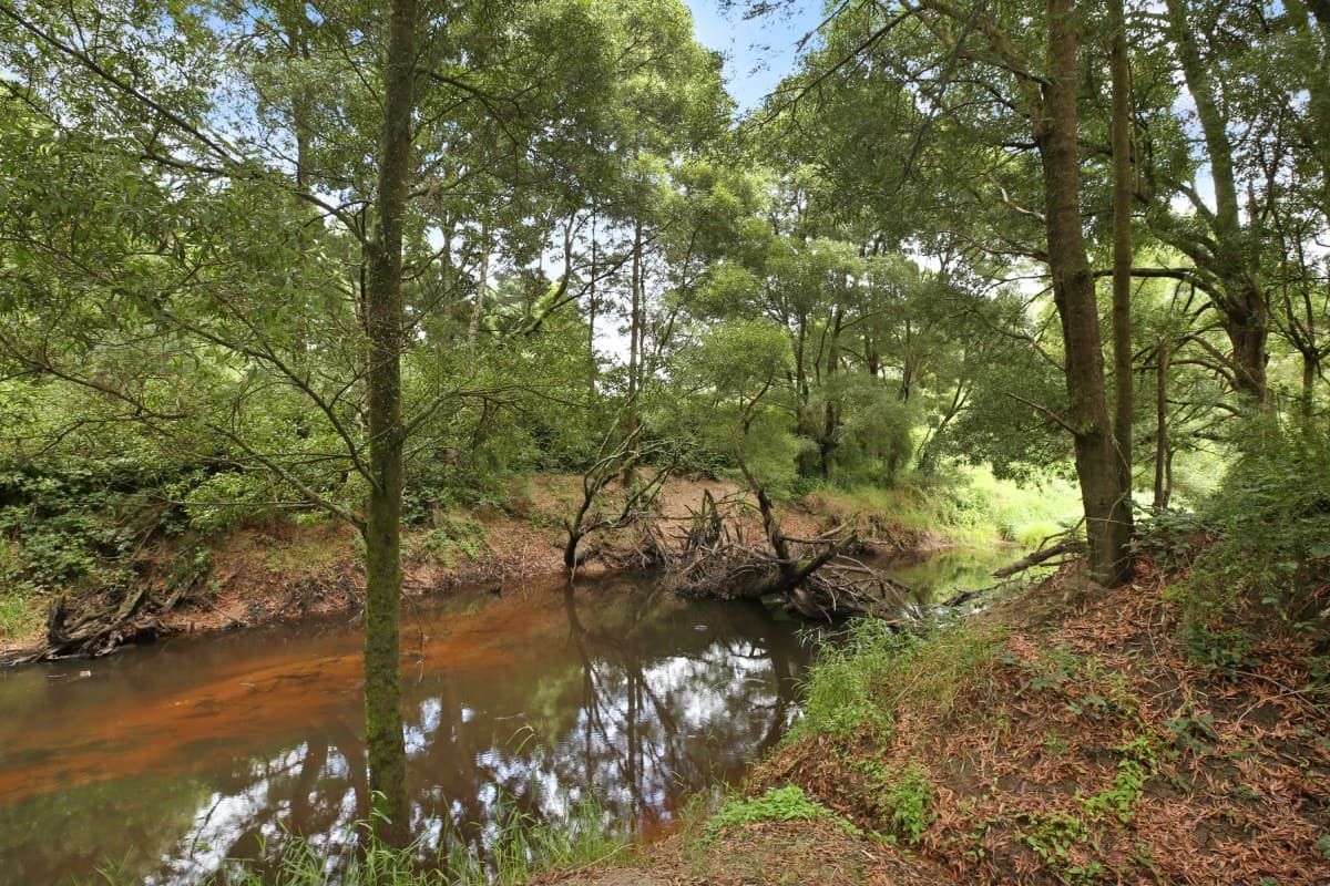 1140 Gellibrand River Road, Chapple Vale, VIC, Chapple Vale - Thumbnail 2