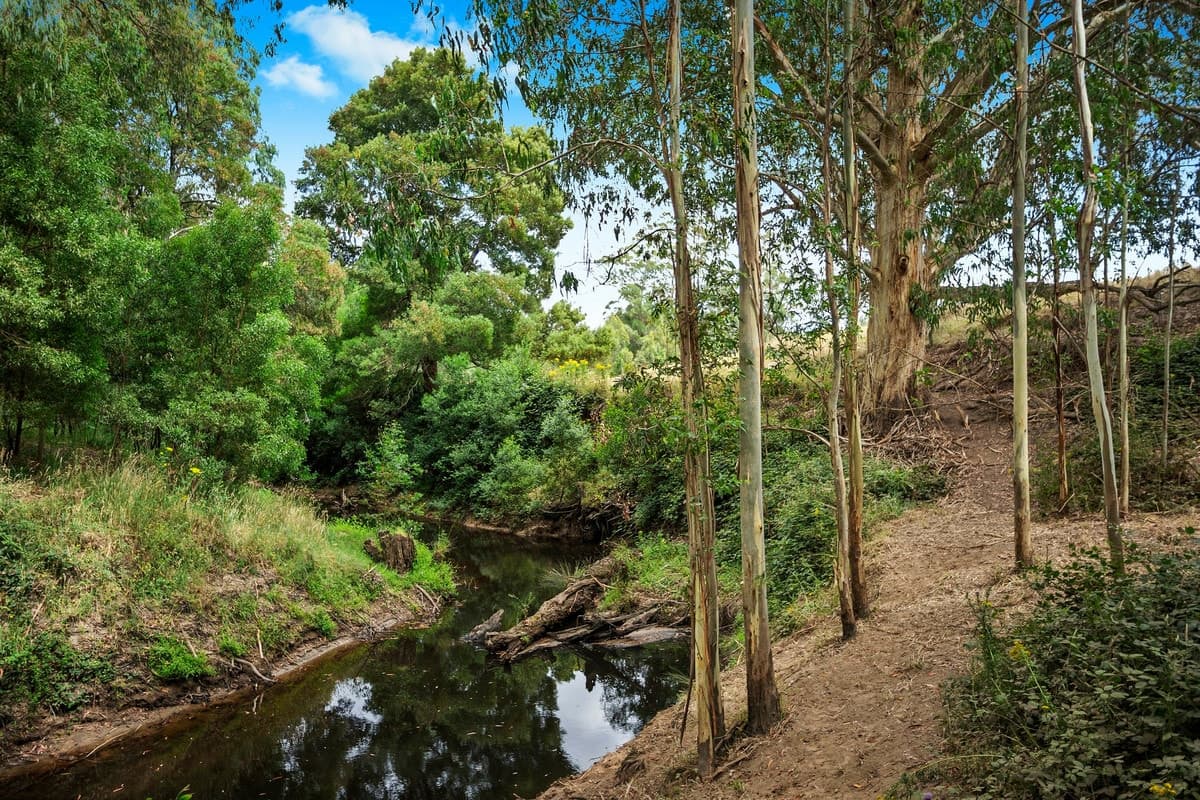 55 Daffys Lane, Gellibrand, VIC, Gellibrand - Image 1