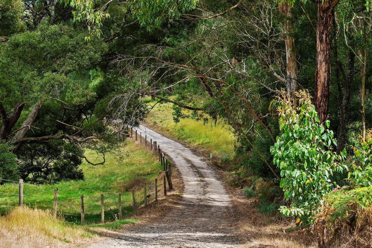 55 Daffys Lane, Gellibrand, VIC, Gellibrand - Thumbnail 3