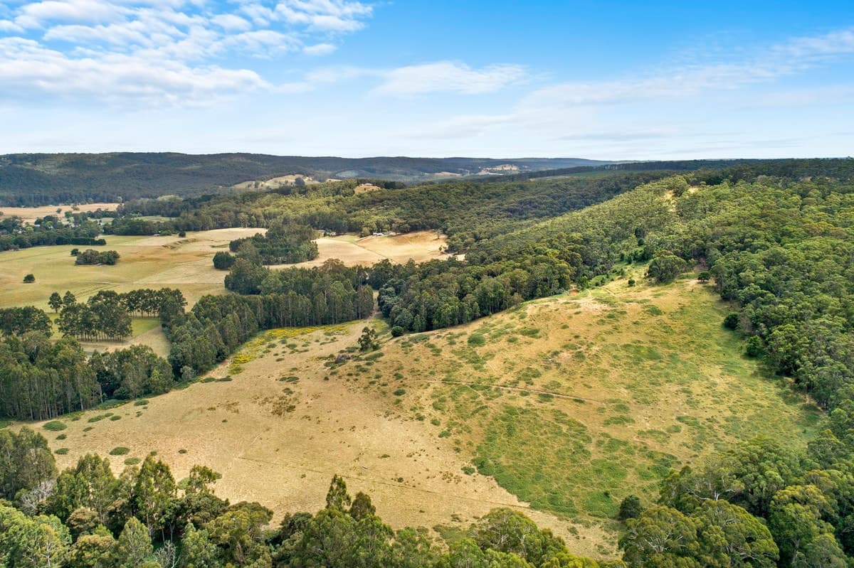 55 Daffys Lane, Gellibrand, VIC, Gellibrand - Thumbnail 8