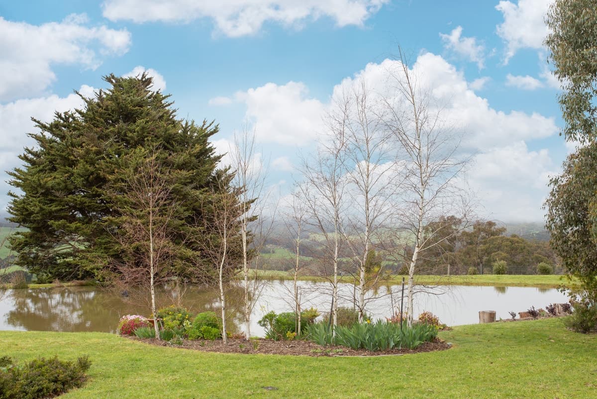 55 Pennyroyal School Road, Pennyroyal, VIC, Pennyroyal - Thumbnail 2