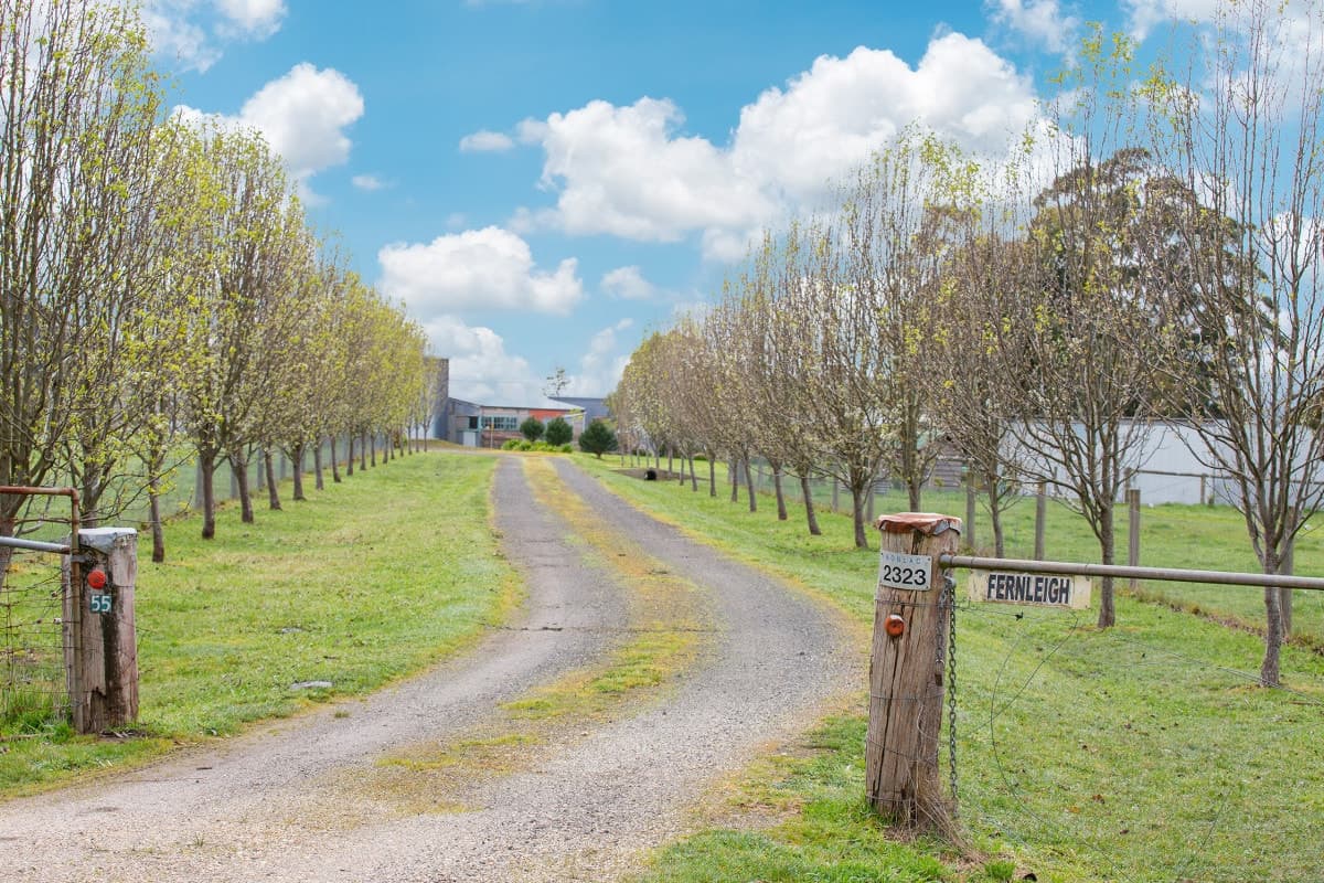 55 Pennyroyal School Road, Pennyroyal, VIC, Pennyroyal - Thumbnail 3