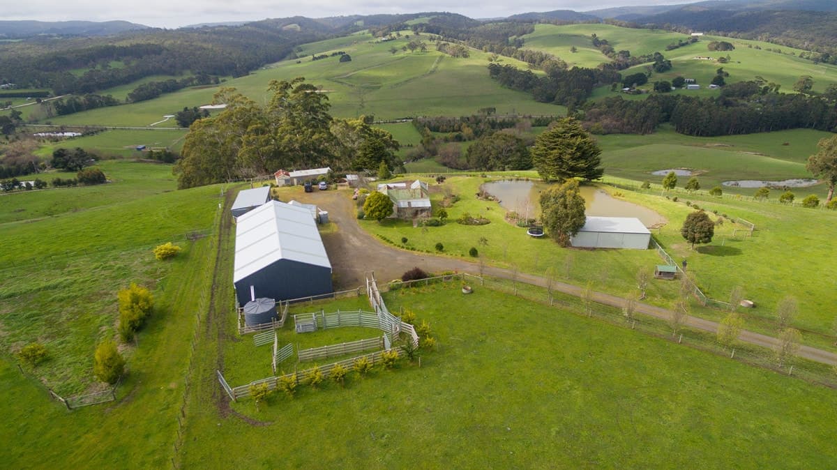 55 Pennyroyal School Road, Pennyroyal, VIC, Pennyroyal - Thumbnail 5