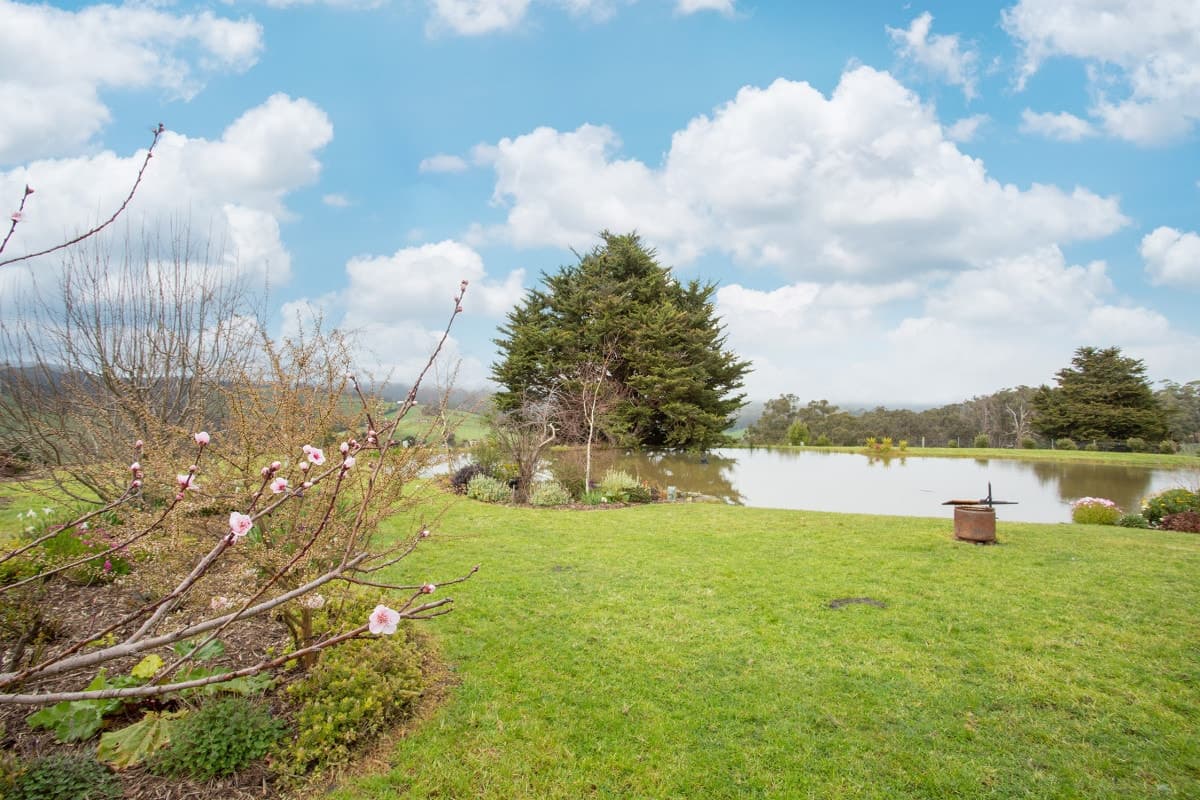 55 Pennyroyal School Road, Pennyroyal, VIC, Pennyroyal - Thumbnail 6