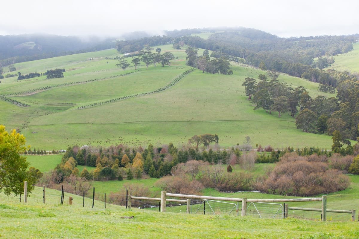55 Pennyroyal School Road, Pennyroyal, VIC, Pennyroyal - Thumbnail 8