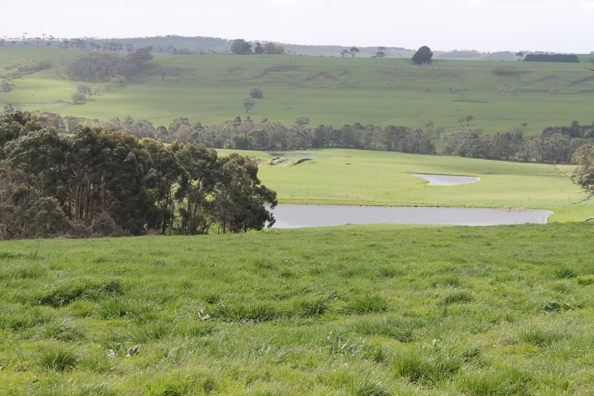 625 Williams Road, Scotts Creek, VIC, Scotts Creek - Image 1