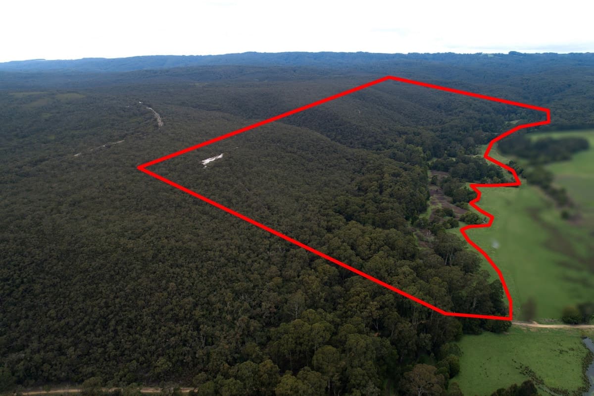 265 Sand Pit Road, Carlisle River, VIC, Carlisle River - Image 1