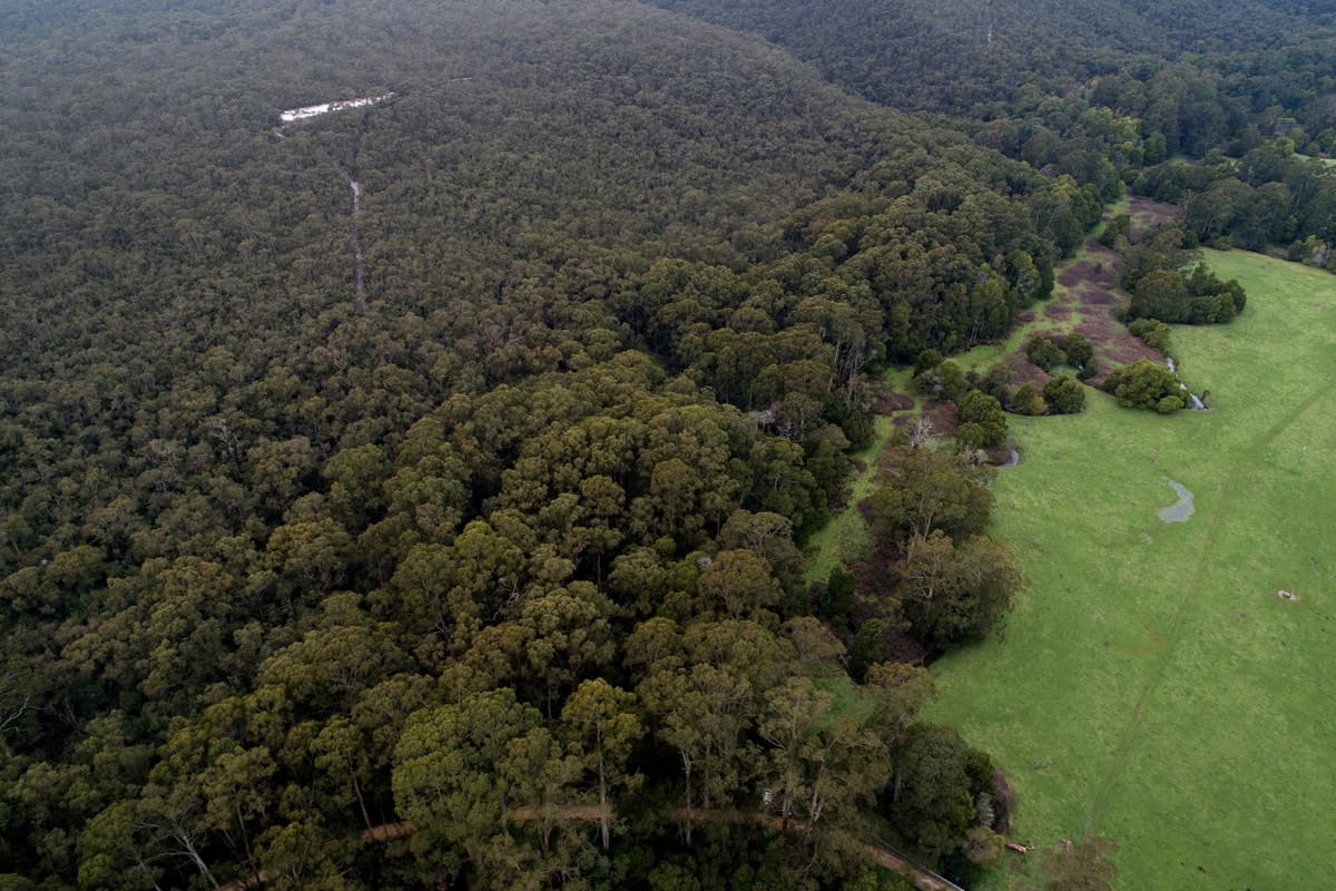 265 Sand Pit Road, Carlisle River, VIC, Carlisle River - Thumbnail 2