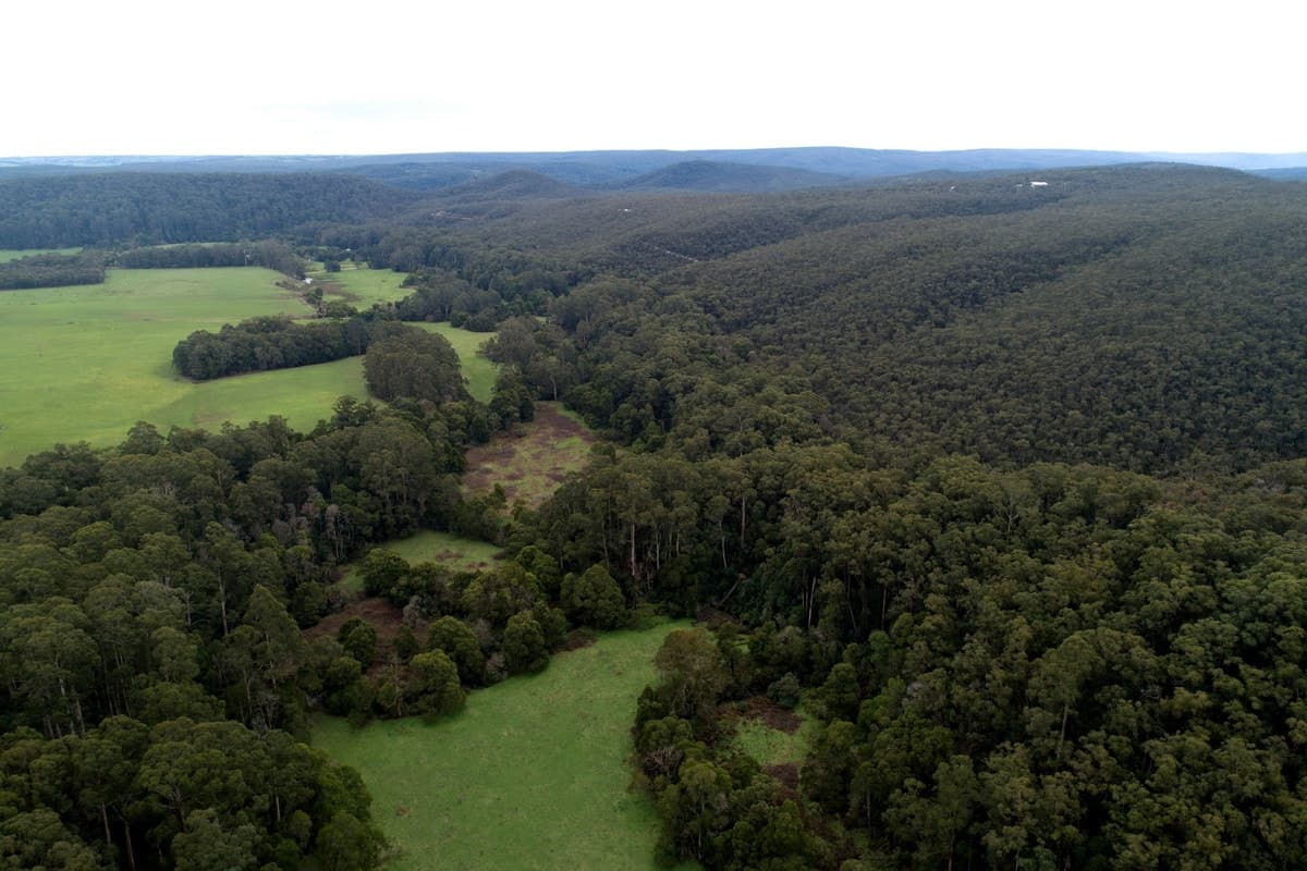265 Sand Pit Road, Carlisle River, VIC, Carlisle River - Thumbnail 3