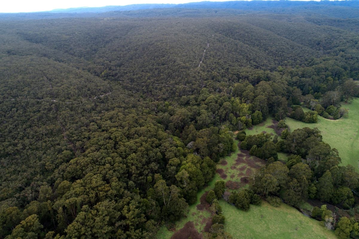 265 Sand Pit Road, Carlisle River, VIC, Carlisle River - Thumbnail 5