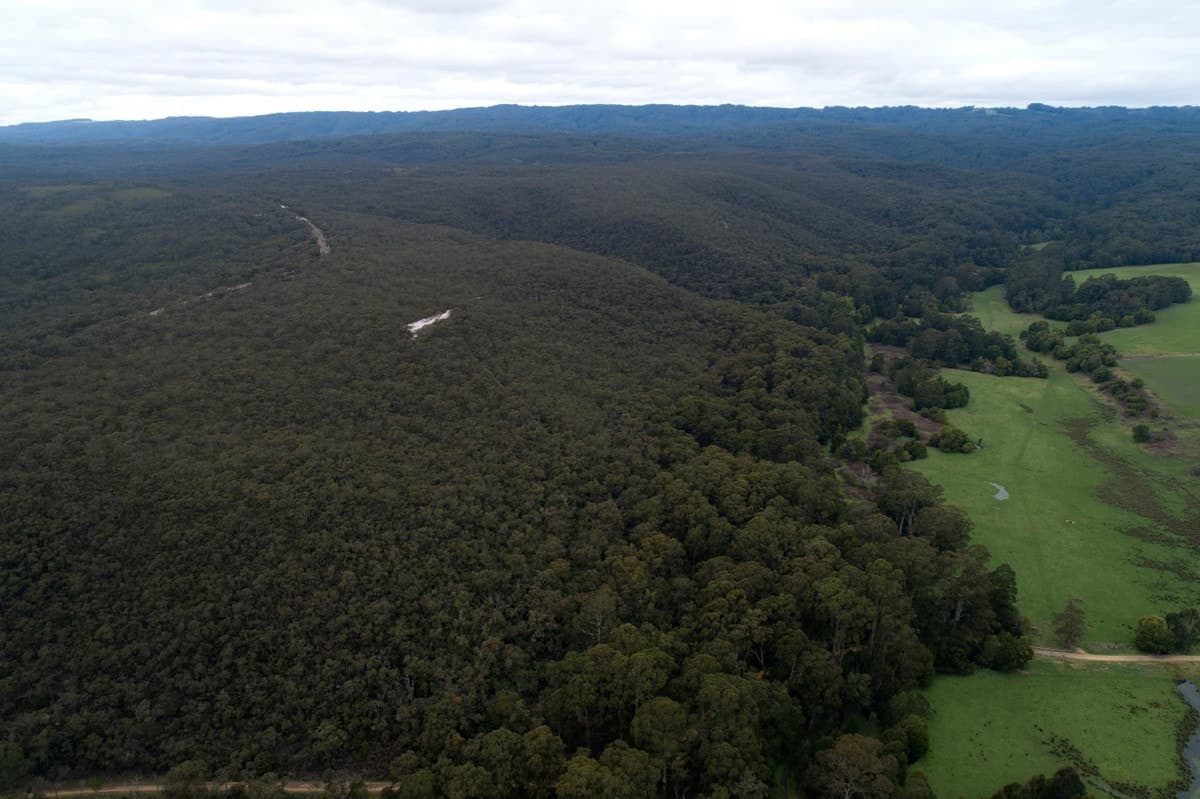 265 Sand Pit Road, Carlisle River, VIC, Carlisle River - Thumbnail 6
