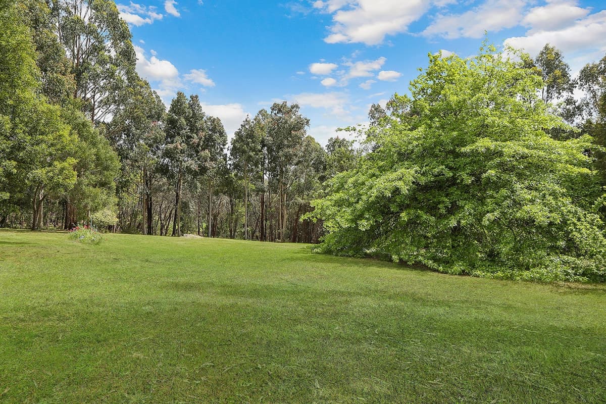 80 Bull Hill Road, Kawarren, VIC, Kawarren - Thumbnail 3