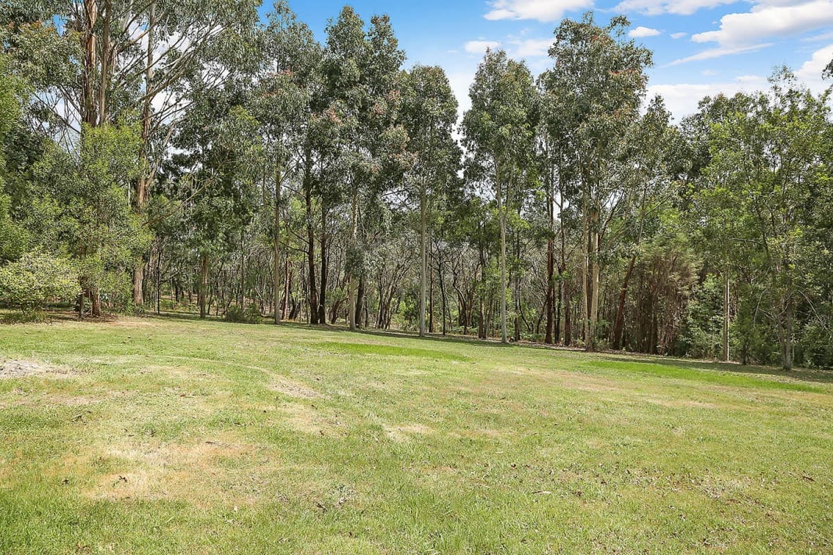80 Bull Hill Road, Kawarren, VIC, Kawarren - Thumbnail 4