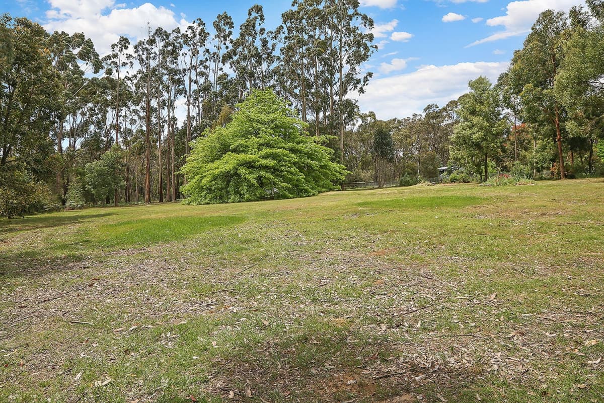 80 Bull Hill Road, Kawarren, VIC, Kawarren - Thumbnail 5