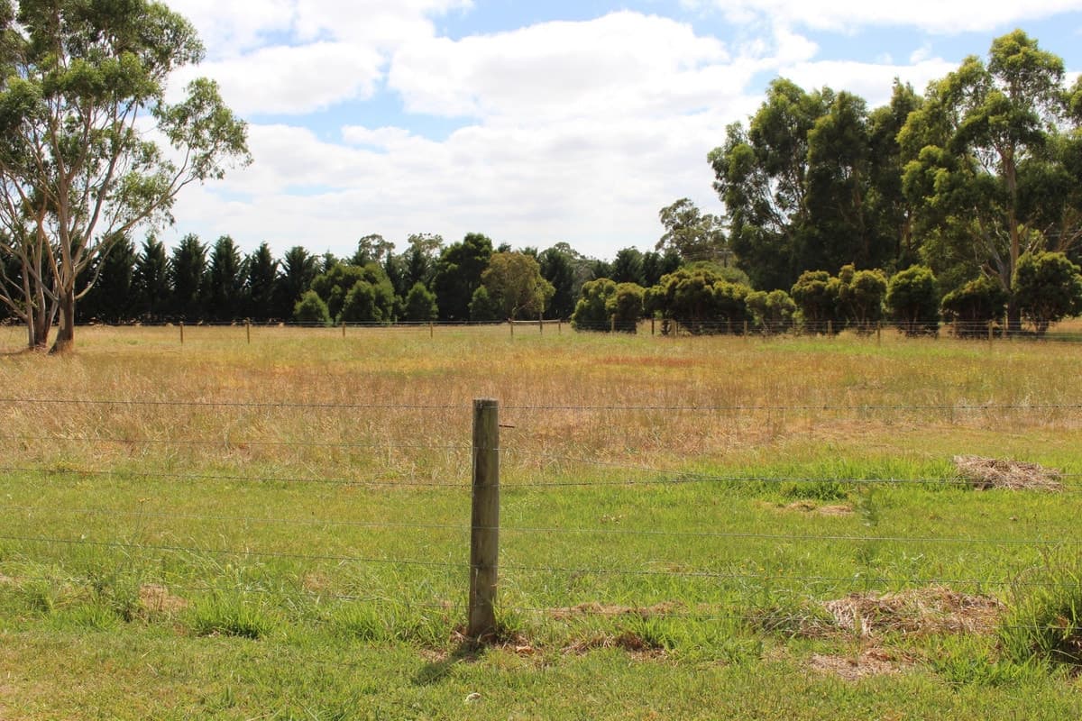 34 Wallaces Road, Barwon Downs, VIC, Barwon Downs - Thumbnail 2