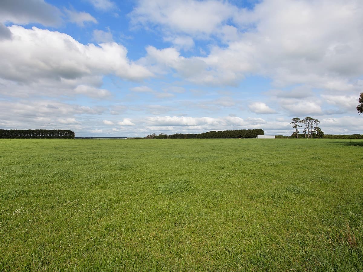 679 Jancourt Road, Tandarook, VIC, Tandarook - Thumbnail 5