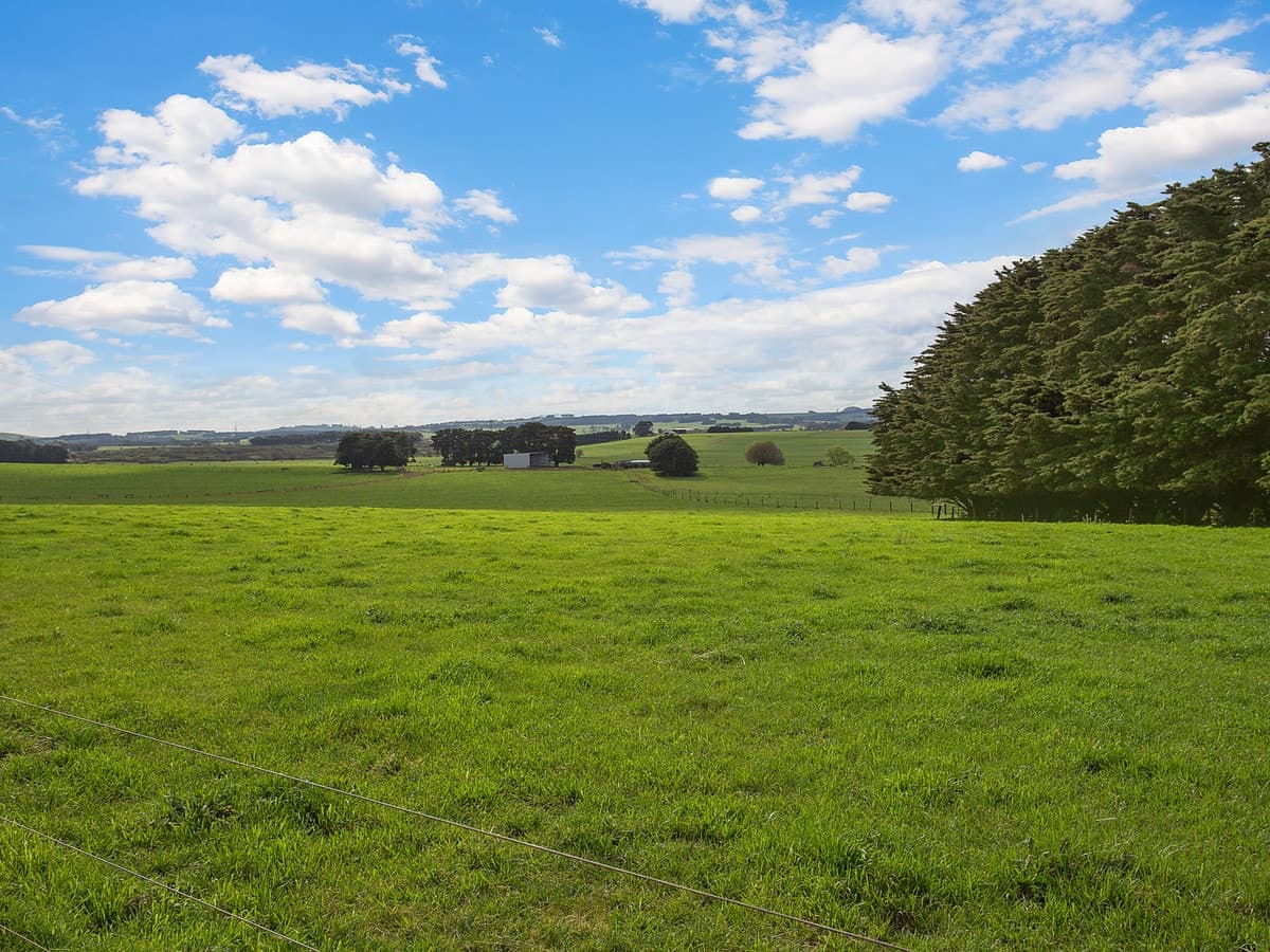 679 Jancourt Road, Tandarook, VIC, Tandarook - Thumbnail 6