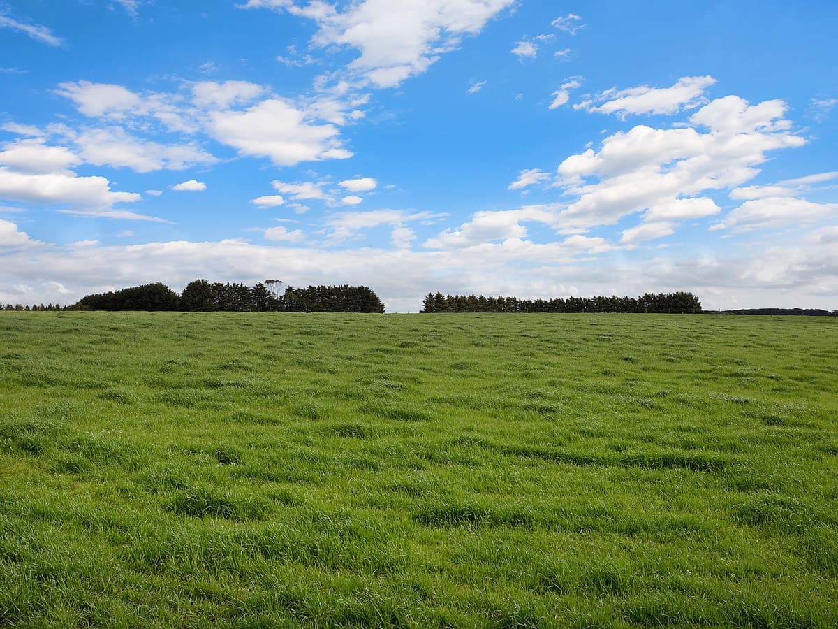 679 Jancourt Road, Tandarook, VIC, Tandarook - Thumbnail 7