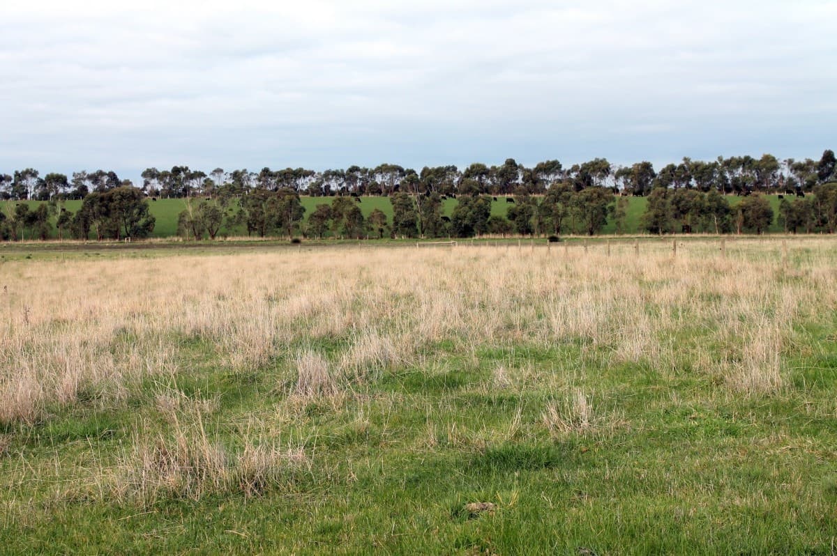 75 Birregurra Road, Birregurra, VIC, Birregurra - Thumbnail 6