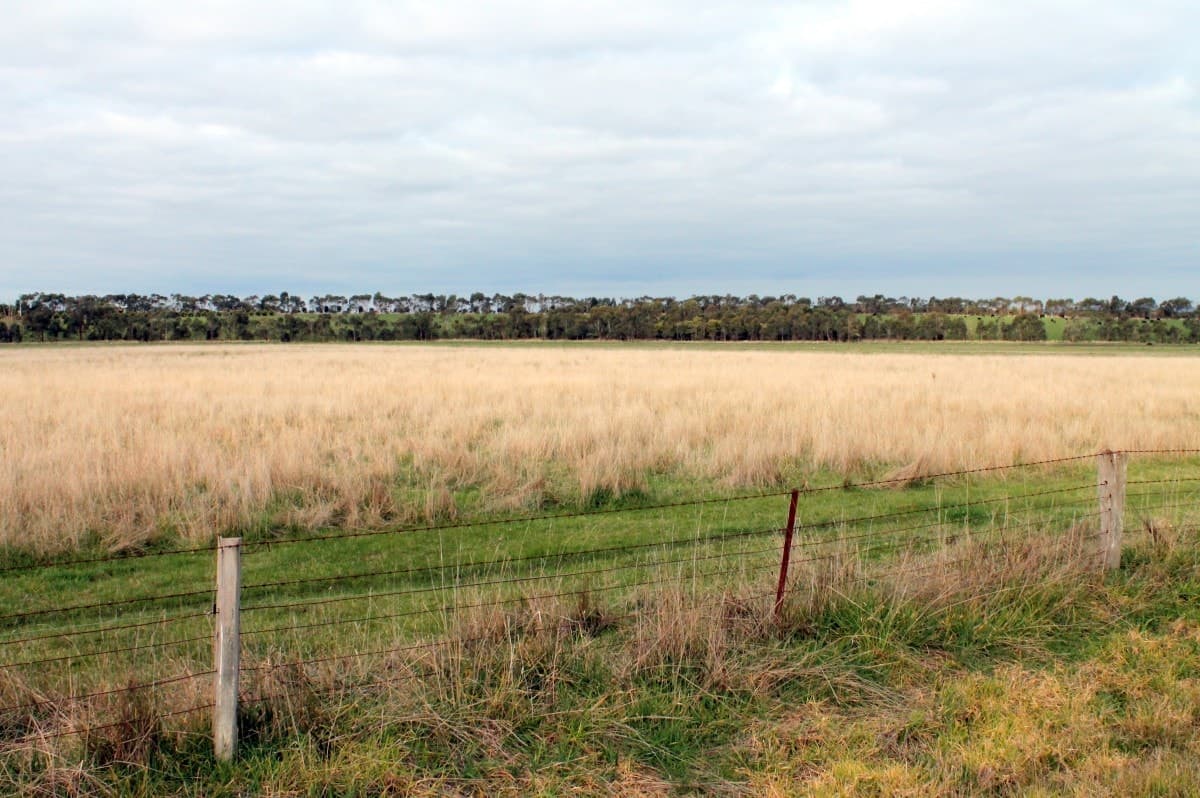 75 Birregurra Road, Birregurra, VIC, Birregurra - Thumbnail 8