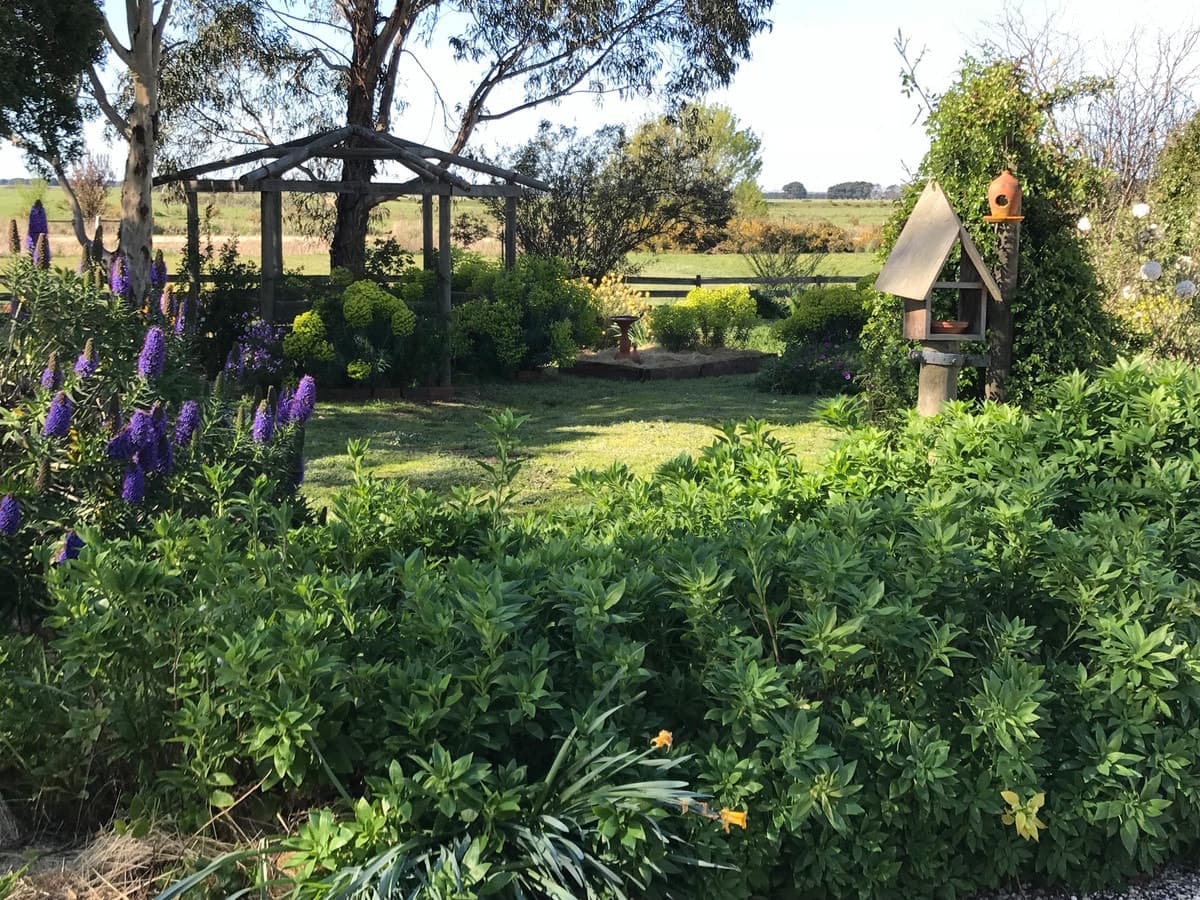 7 Strachan Street, Birregurra, VIC, Birregurra - Thumbnail 3