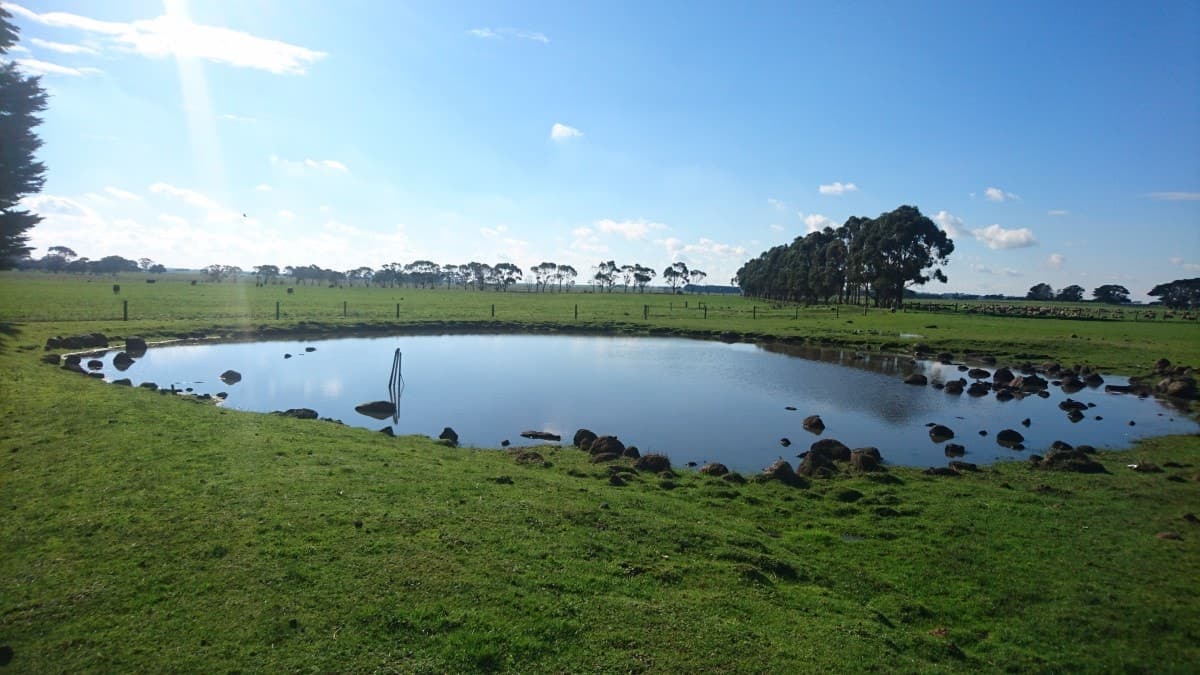 95 Settlement Road, Chocolyn, VIC, Chocolyn - Thumbnail 3