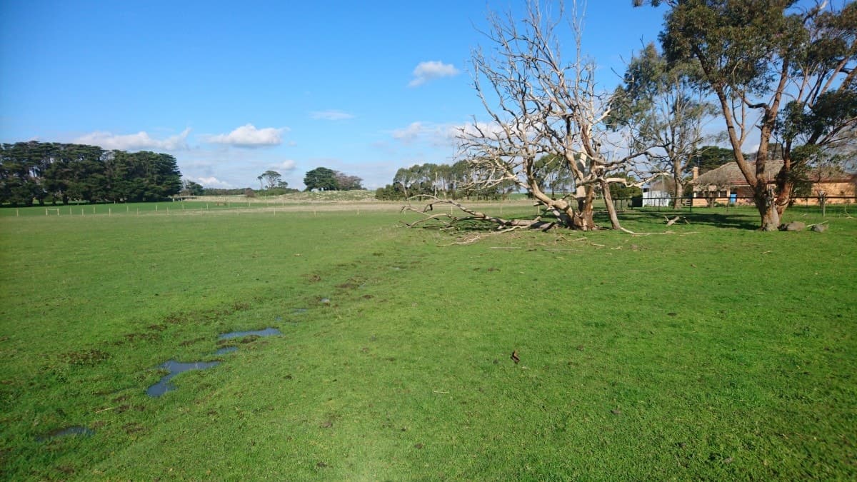 95 Settlement Road, Chocolyn, VIC, Chocolyn - Thumbnail 4