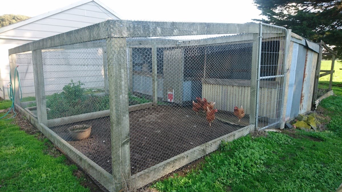 95 Settlement Road, Chocolyn, VIC, Chocolyn - Thumbnail 7