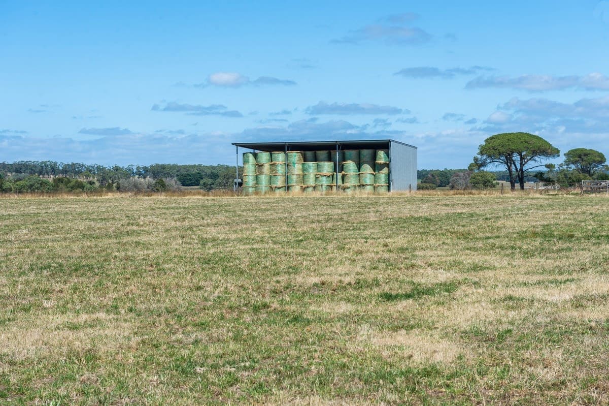 765 Tomahawk Creek Road, Irrewillipe, VIC, Irrewillipe - Thumbnail 2