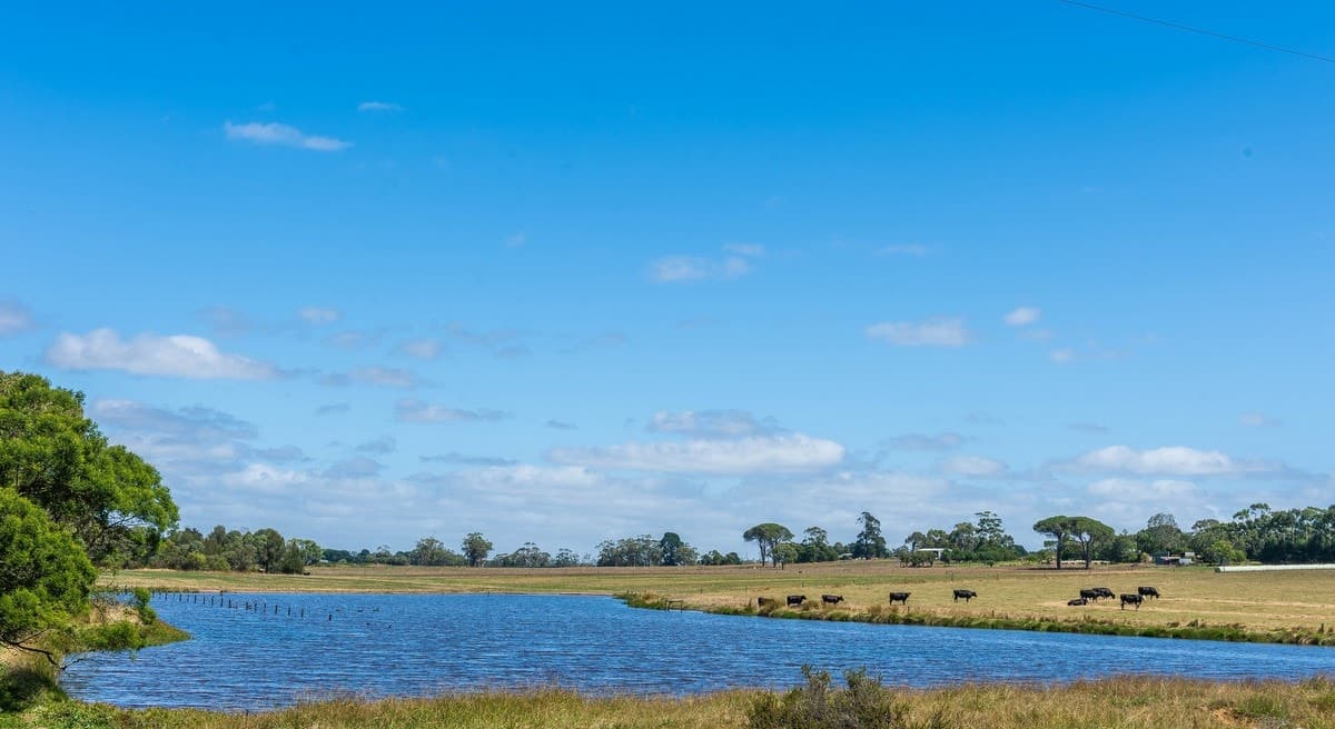 765 Tomahawk Creek Road, Irrewillipe, VIC, Irrewillipe - Thumbnail 6