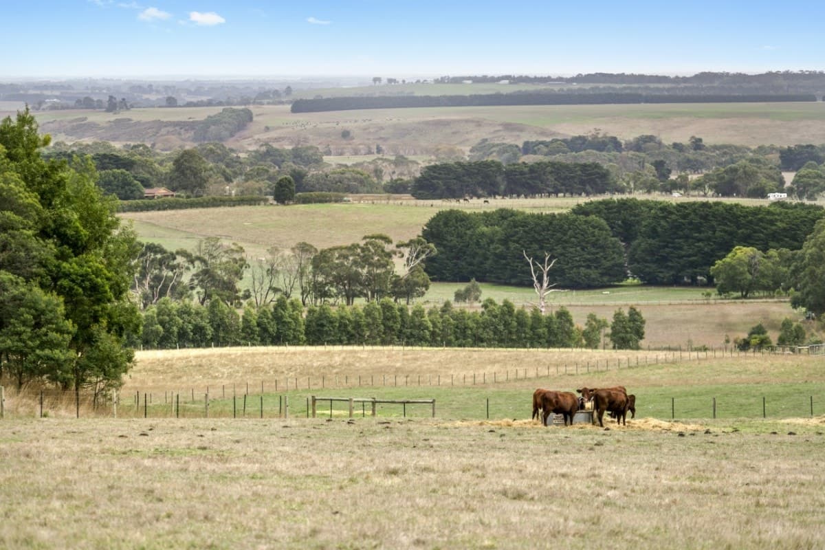 20 Old Lorne Road, Deans Marsh, VIC, Deans Marsh - Image 1