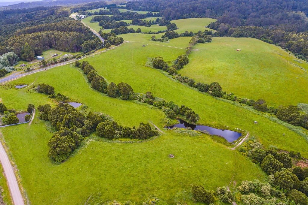 2/4515 Colac Lavers Hill Road, Wyelangta, VIC, Wyelangta - Thumbnail 2