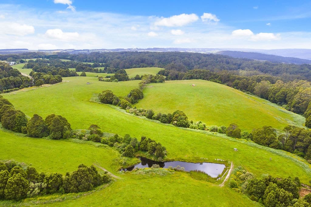 2/4515 Colac Lavers Hill Road, Wyelangta, VIC, Wyelangta - Thumbnail 3