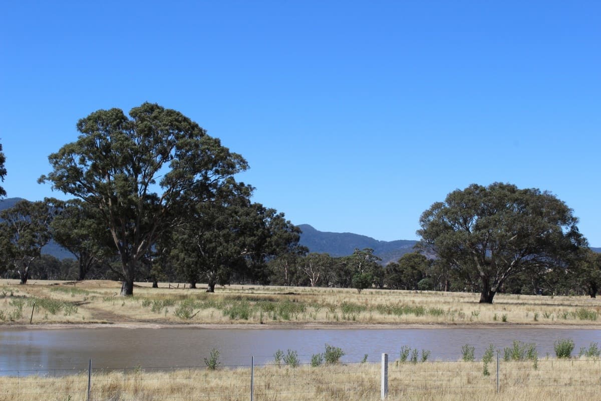 11 Buangor-Ben Nevis Road, Buangor, VIC, Buangor - Image 1