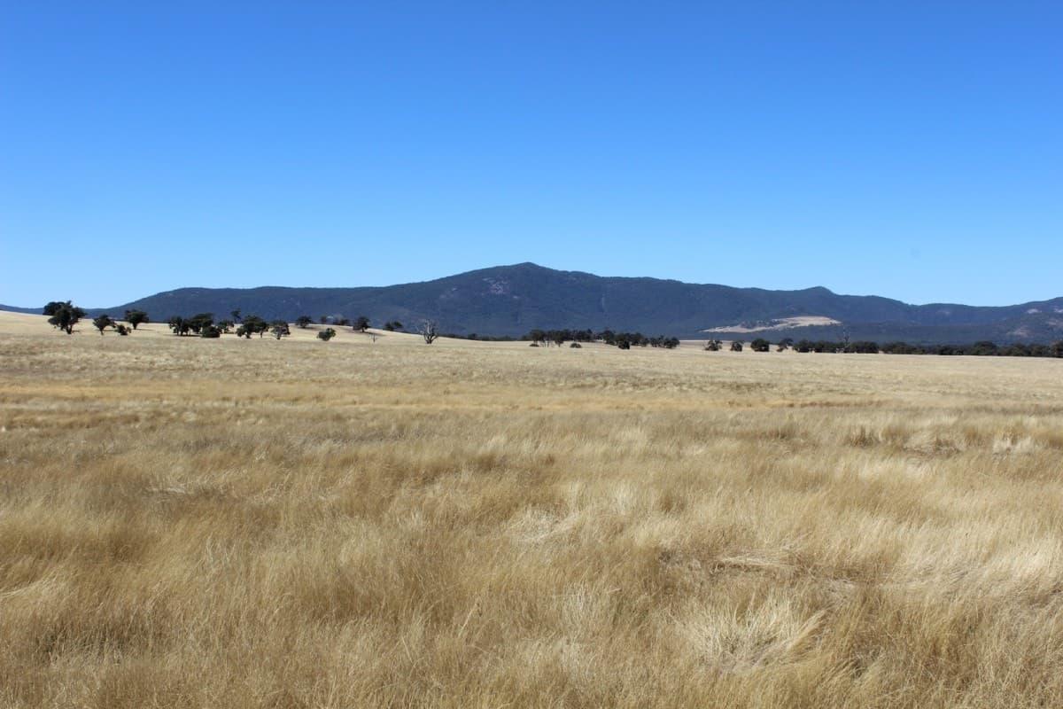 11 Buangor-Ben Nevis Road, Buangor, VIC, Buangor - Thumbnail 3