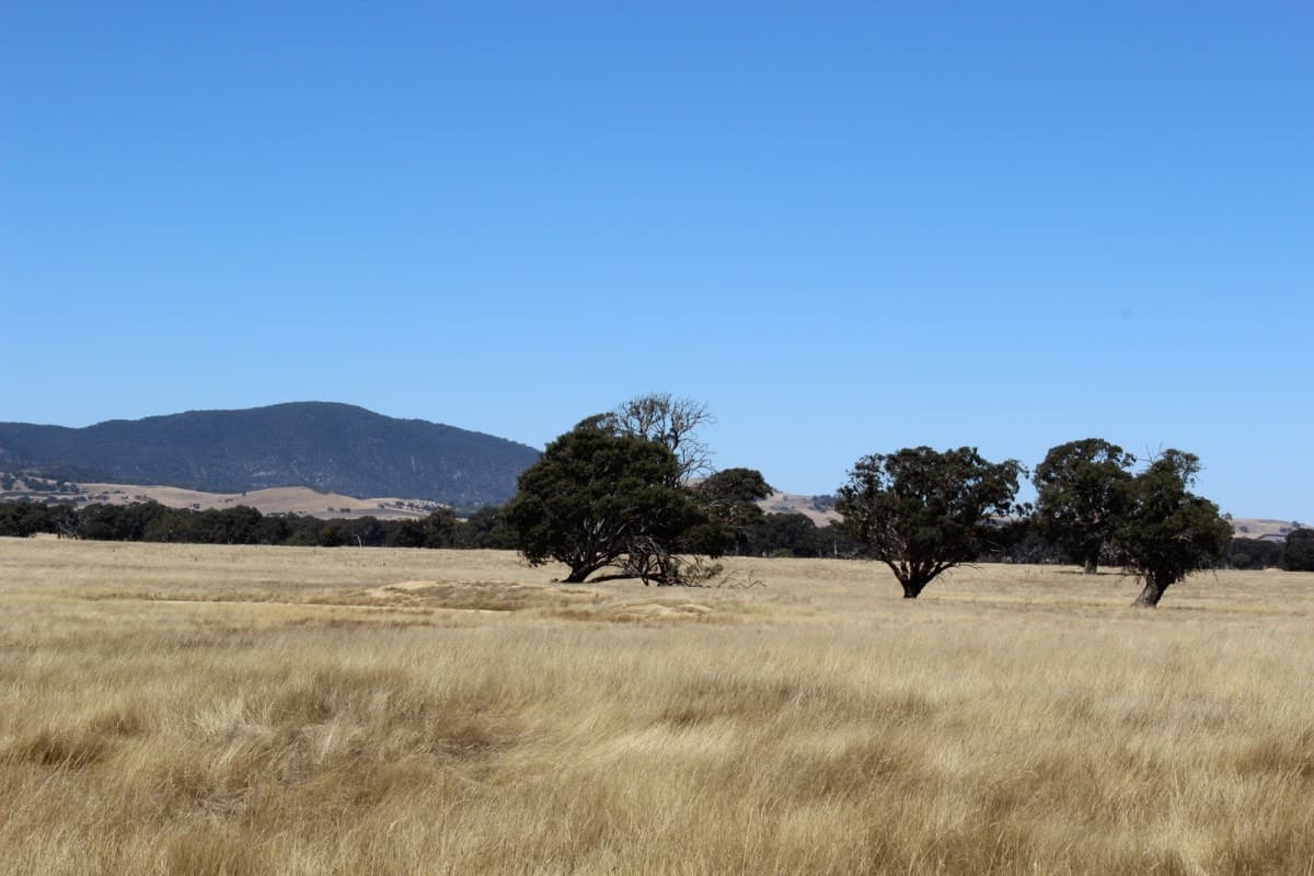 11 Buangor-Ben Nevis Road, Buangor, VIC, Buangor - Thumbnail 4