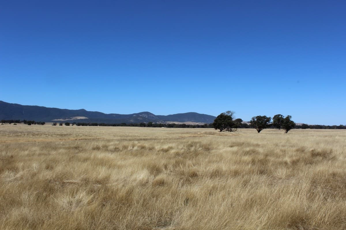 11 Buangor-Ben Nevis Road, Buangor, VIC, Buangor - Thumbnail 6