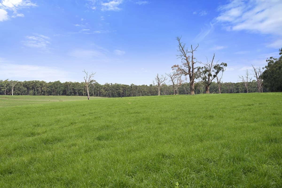 30 Blacks Road, Irrewillipe, VIC, Irrewillipe - Thumbnail 5
