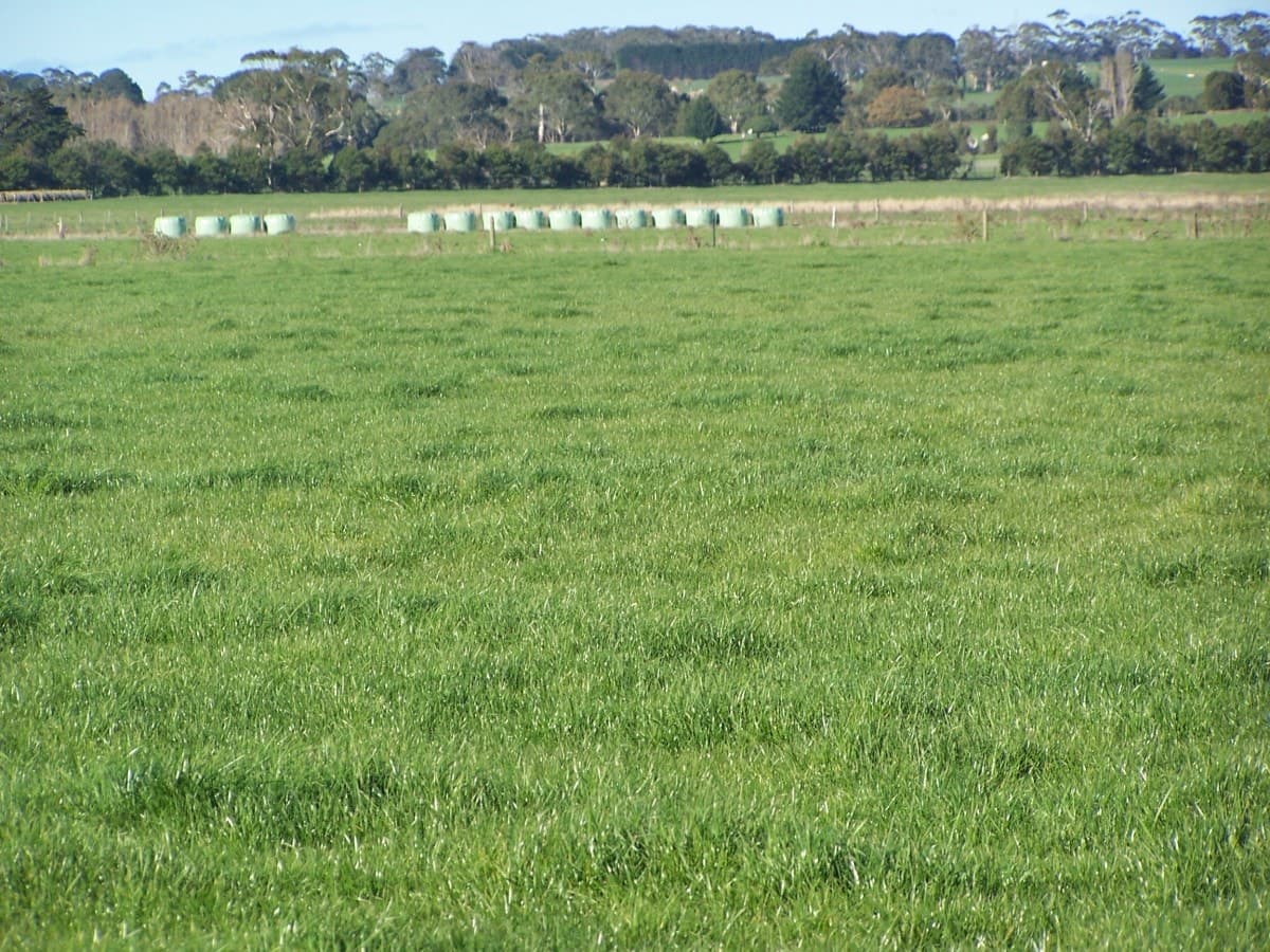 370 Swan Marsh Irrewillipe Road, Colac, VIC, Colac - Thumbnail 2