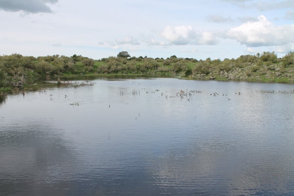 30 Duckholes Road, Dreeite, VIC, Dreeite - Thumbnail 2