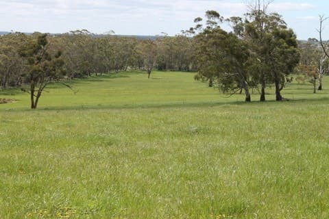 1745 Colac-Timboon Road, Irrewillipe, VIC, Irrewillipe - Image 1