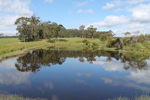 1745 Colac-Timboon Road, Irrewillipe, VIC, Irrewillipe - Thumbnail 2